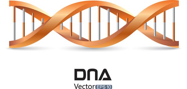 نماد DNA