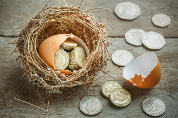 سکه های پوند بریتانیا با لانه پرنده و تخم مرغ شکسته