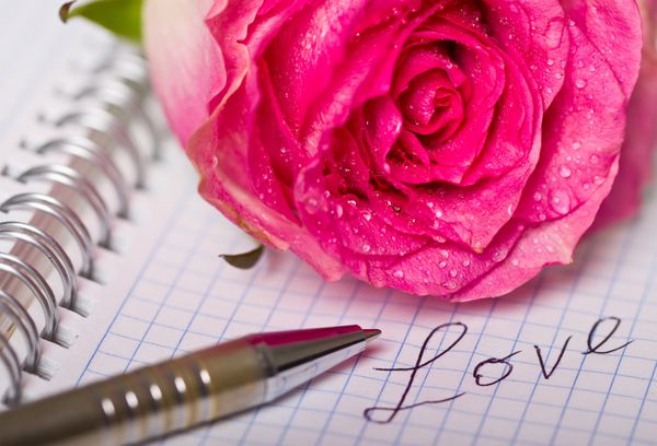 دفترچه یادداشت و خودکار خالی را با گل رز باز کنید
