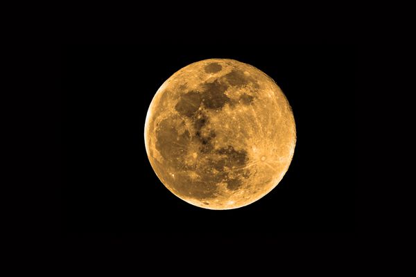 ماه برداشت پرتقال در برابر آسمان سیاه