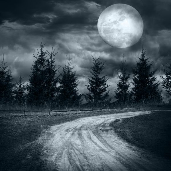 منظره جادویی با جاده خالی روستایی که به جنگل مرموز درخت کاج در زیر آسمان ابری چشمگیر در شب ماه کامل می رود