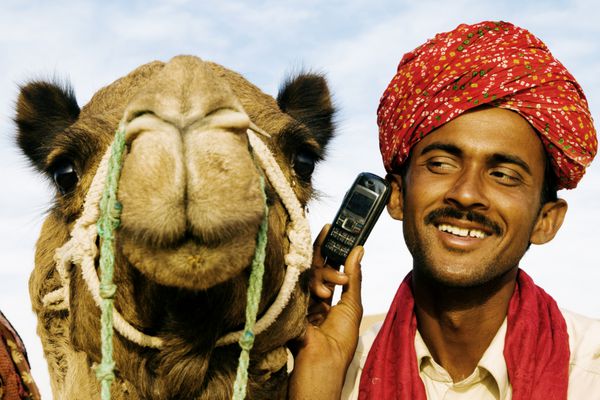 مرد آسیایی و شتر در صحرا با ارتباط راجستان هند