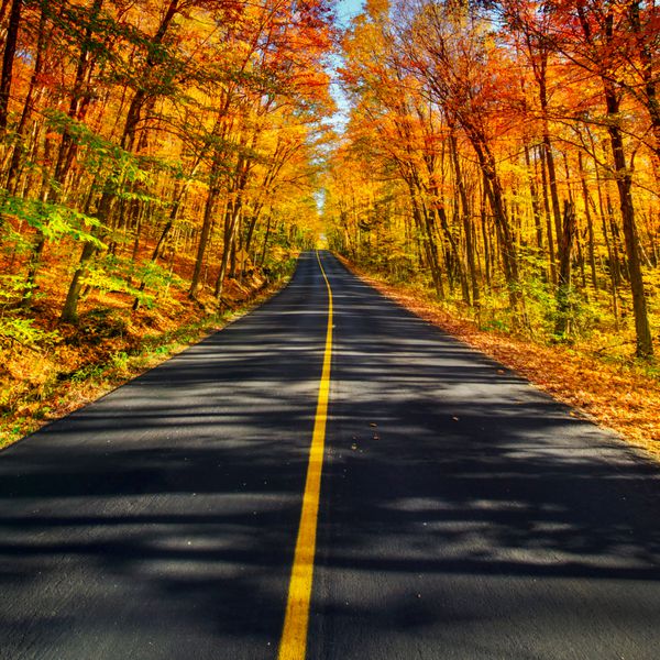 یک جاده روستایی طولانی دو بانده که در طول فصل پاییز از میان یک چشم انداز راهروی پر جنب و جوش درختی رنگارنگ می گذرد
