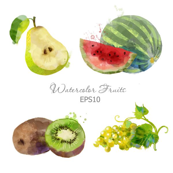مجموعه میوه های وکتور آبرنگ از هندوانه گلابی انگور و کیوی