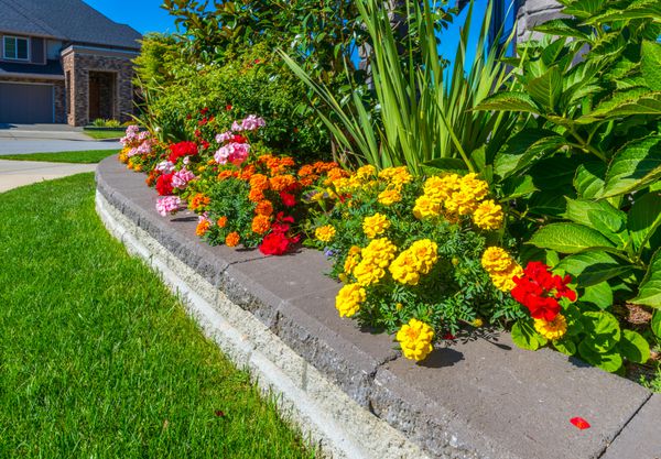 تخت گل رنگارنگ به زیبایی تزئین شده و چمن حیاط جلویی در جلوی خانه تزئین شده است طراحی منظر