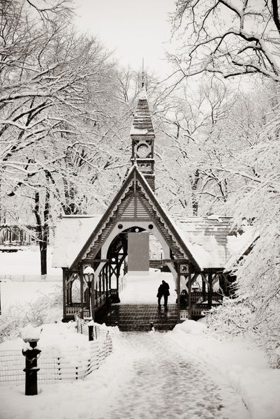 زمستان پارک مرکزی در شهر میدتاون منهتن نیویورک