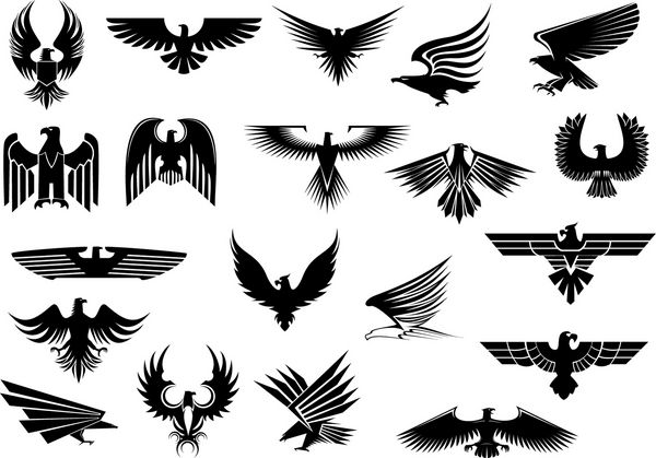 عقاب‌های سیاه هرالدیک شاهین‌ها و شاهین‌ها بال‌های باز کرده‌اند که روی پس‌زمینه سفید جدا شده‌اند