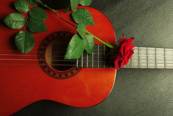 رز قرمز روی گیتار کلاسیک