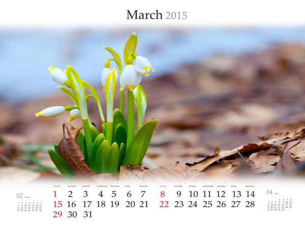 تقویم 2015 مارس اولین گلها در جنگل بهاری