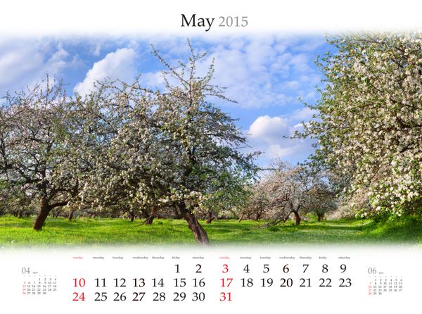 تقویم 2015 می شکوفه دادن باغ های سیب در بهار