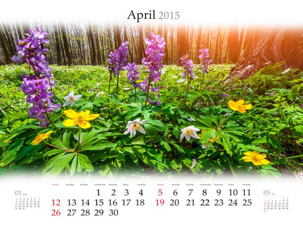 تقویم 2015 آوریل مزرعه شکوفه گل در جنگل