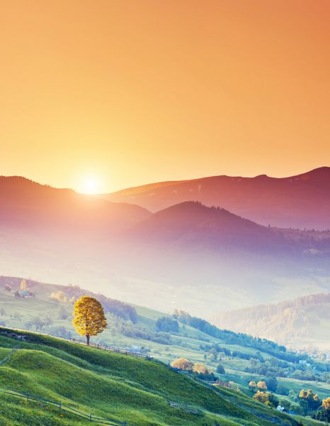 تپه های آفتابی خارق العاده که زیر نور خورشید می درخشند صحنه دراماتیک صبح کارپات اوکراین اروپا دنیای زیبایی