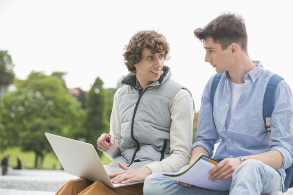 دوستان پسر جوان دانشگاهی با لپ تاپ در حال مطالعه با هم در پارک