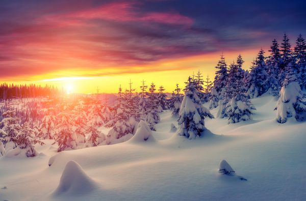 منظره فوق العاده عصرگاهی که زیر نور خورشید می درخشد صحنه دراماتیک زمستانی پارک طبیعی کارپات اوکراین اروپا دنیای زیبایی فیلتر رترو افکت تونینگ اینستاگرام سال نو مبارک