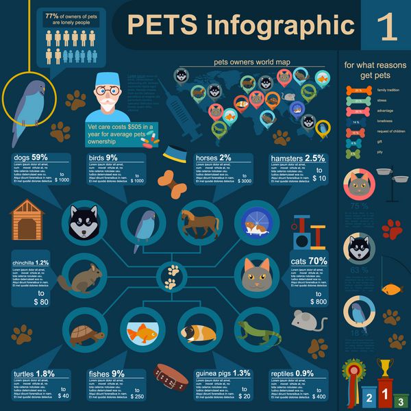 عناصر اینفوگرافیک حیوانات خانگی خانگی مراقبت های بهداشتی دامپزشک وکتور