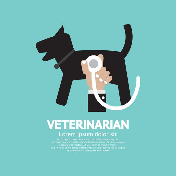 وکتور مفهومی دامپزشکی بدن سگ دست دکتر با گوشی پزشکی