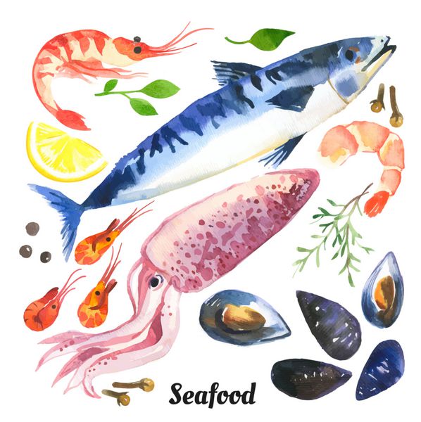 ماهی خال مخالی مزخرف مجموعه آبرنگ غذاهای دریایی با ماهی قزل آلا ماهی قزل آلا و صدف که با دست روی زمینه سفید کشیده شده است