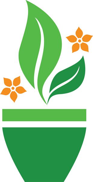گیاهان