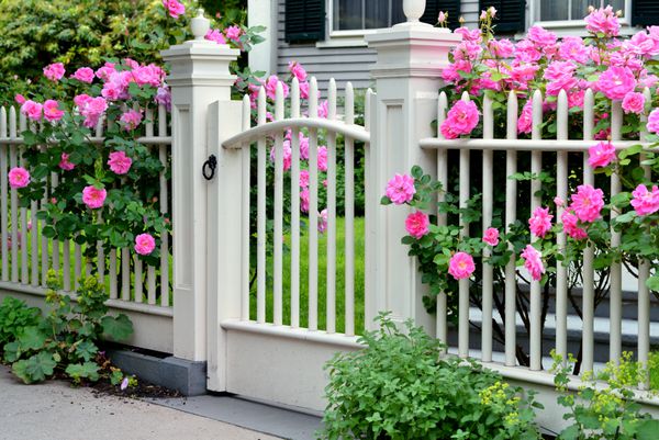 دروازه چوبی با گل رز صورتی
