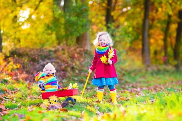 بچه های کوچولو ناز دختر نوپا شایان ستایش و یک نوزاد پسر برادر و خواهر بامزه در یک پارک پاییزی آفتابی با ردیف چرخ و برگ های رنگارنگ