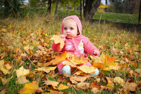 دختر کوچکی که روی برگ های زرد پاییزی نشسته است