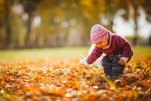 دختر کوچولوی شایان ستایش با برگ های پاییزی در پارک زیبایی
