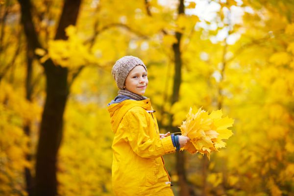 پسر بچه بانمکی با ژاکت زرد روشن و کلاه بافتنی خاکستری در حال قدم زدن در پارک در یک روز آفتابی پاییزی