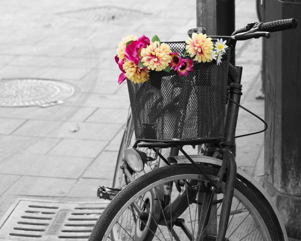 اشباع انتخابی یک دوچرخه قدیمی با گل در سبد شهر قدیمی آلگرو ایتالیا
