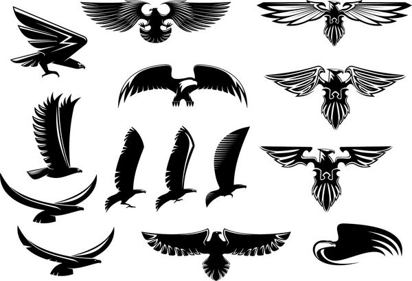 نمادهای وکتور پرندگان عقاب شاهین و شاهین که پرنده را در حال پرواز یا با بال‌های باز با جزئیات پر نشان می‌دهد