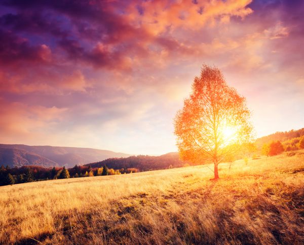 عکس خفن عکس طلوع خورشید در پاییز