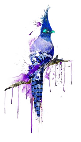 کارت دعوت با تی‌شرت پرنده آبرنگی با آبرنگ گرافیکی پرنده رنگارنگ بنفش در پس‌زمینه سفید پرندگان ناز برای طرح شما چاپ الگوی پرنده تصویر پرنده