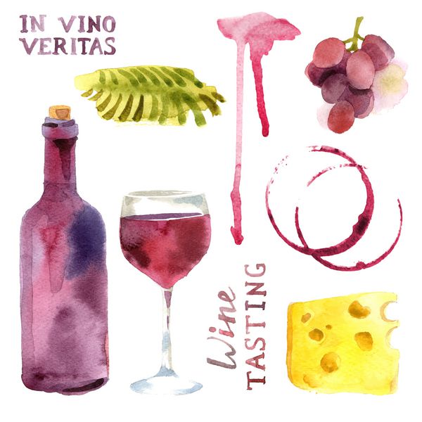 عناصر طراحی آبرنگ روشن in vino veritas - verity in