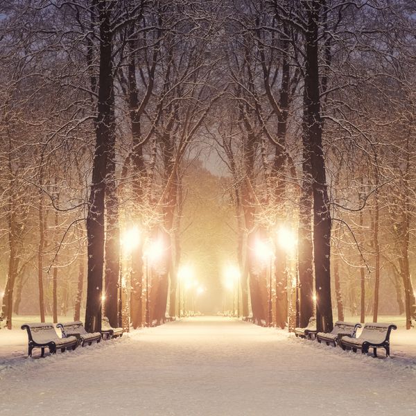  عکس برف و کریسمس