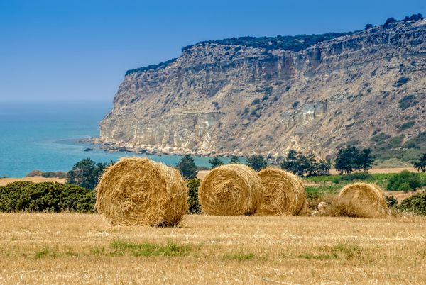 عدل های کاه در مزرعه در برابر دریای مدیترانه و کوه در قبرس