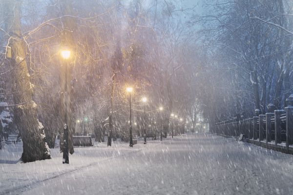 آب و هوای سخت در پارک مورد علاقه شهروندان کیف گرگ و میش پنهان مه و بارش برف درختان قدیمی نیمکت های به خواب رفتن نورها از میان مه می درخشند سرد و مرطوب باد شدید دانه های برف را به سرعت می وزد