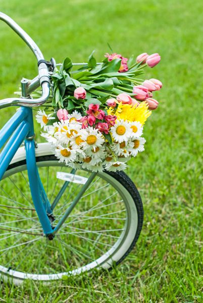 سبد دوچرخه از گل در بهار با فضایی برای کپی sp