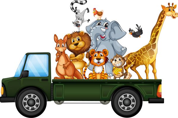 تصویر بسیاری از حیوانات در کامیون