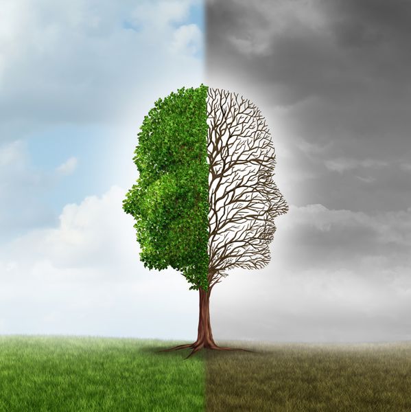اختلال عاطفی و خلقی انسان به صورت درختی به شکل دو فس انسانی با یک شاخه نیمه خالی و طرف مقابل پر از برگ به عنوان یک استعاره پزشکی برای تضاد روانی در احساسات