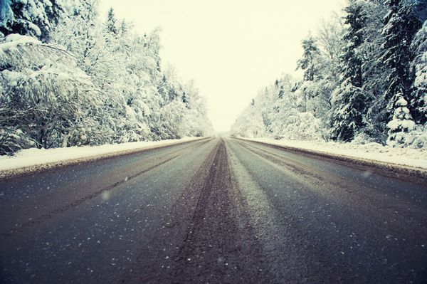 جاده و جنگل زمستانی