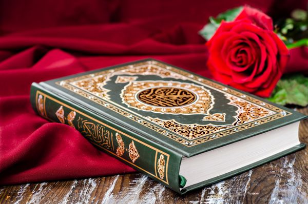قرآن - کتاب مقدس اسلام با گل رز و روسری قرمز در زمینه چوبی تمرکز انتخابی