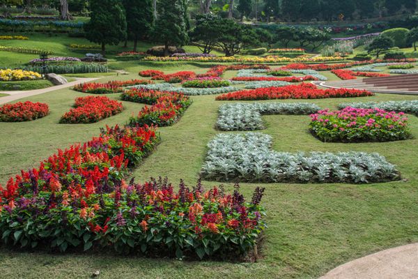باغ ویلای سلطنتی دوی تونگ چیانگ رای تایلند