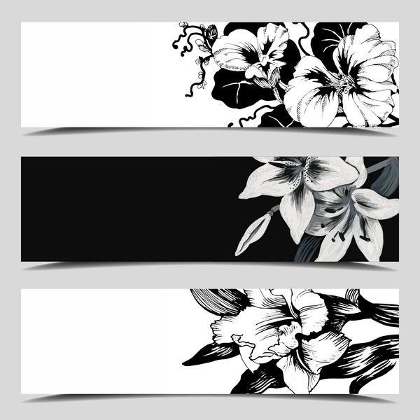مجموعه ای از سه بنر وکتور کارت های گلدار با فیلد برای متن تصویر کامل زیر ماسک وکتور
