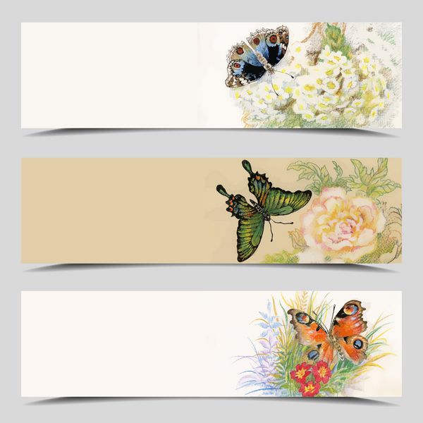 مجموعه سه بنر وکتور کارت گل پروانه با فیلد برای متن تصویر کامل زیر ماسک وکتور