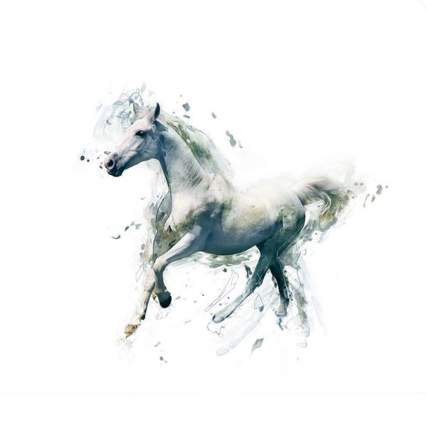 اسب سفید مفهوم حیوانی انتزاعی جدا شده روی سفید می تواند برای کاغذ دیواری چاپ بوم دکوراسیون بنر گرافیک تی شرت تبلیغات استفاده شود