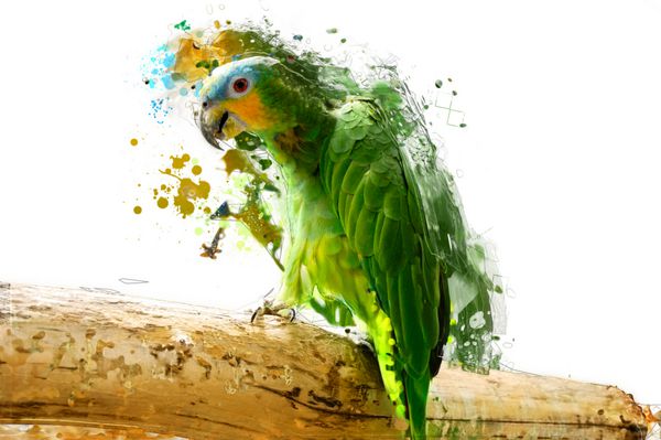 طوطی سبز مفهوم حیوانی انتزاعی می تواند برای کاغذ دیواری چاپ بوم دکوراسیون بنر گرافیک تی شرت تبلیغات استفاده شود