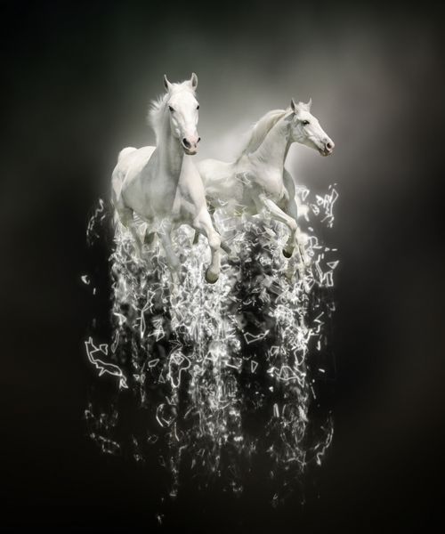 اسب سفید مفهوم حیوانی انتزاعی در پس زمینه سیاه می تواند برای کاغذ دیواری چاپ بوم دکوراسیون بنر گرافیک تی شرت تبلیغات استفاده شود