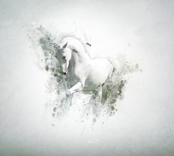 اسب سفید غمگین مفهوم حیوانی انتزاعی می تواند برای کاغذ دیواری چاپ بوم دکوراسیون بنر گرافیک تی شرت تبلیغات استفاده شود