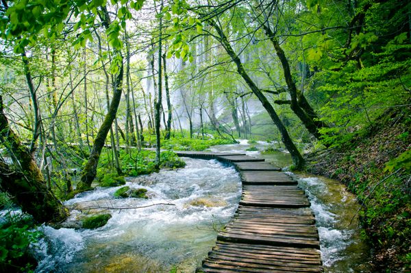 مسیر چوبی و آبشار در پارک ملی پلیتویس کرواسی