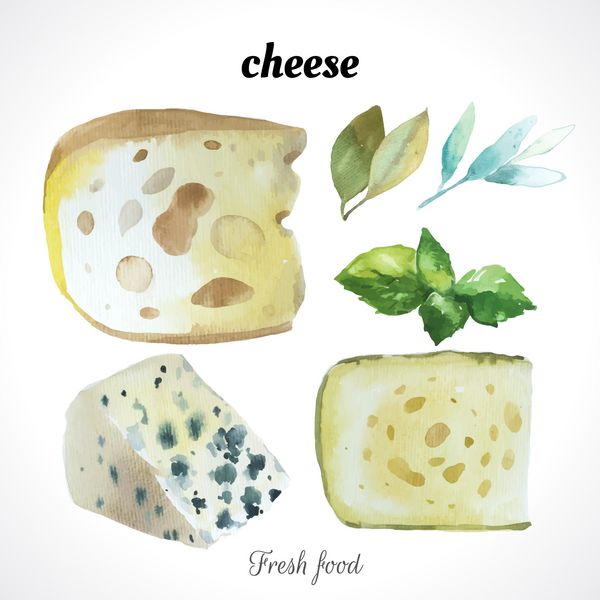 تصویرسازی آبرنگ از یک تکنیک نقاشی غذای ارگانیک تازه مجموعه ای از پنیرهای نجیب مختلف پنیر آبی