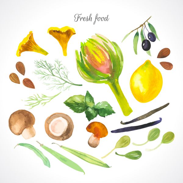 تصویرسازی آبرنگ از یک تکنیک نقاشی غذای ارگانیک تازه غذا چاشنی ها و ادویه جات ترشی جات
